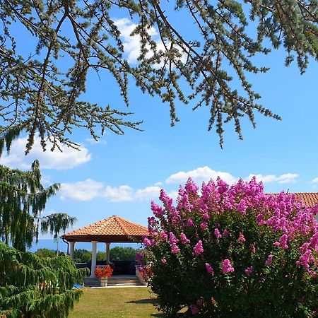Holiday Apartment Villa Bianca Pazin Exterior photo