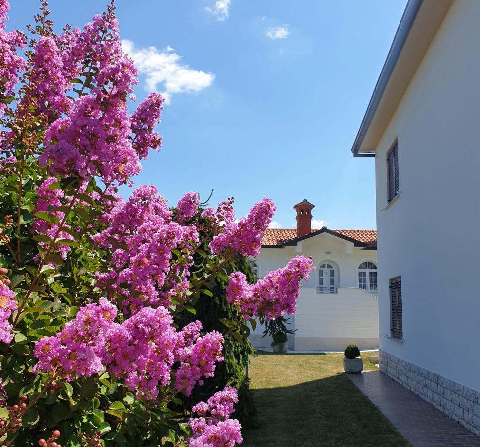 Holiday Apartment Villa Bianca Pazin Exterior photo